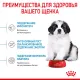 Royal Canin Giant Puppy, 3,5 кг
