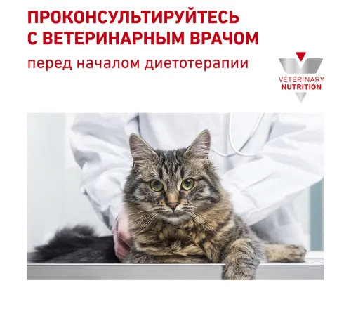 Royal Canin Renal Feline (Рыба), 85 г