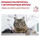 Royal Canin Renal Feline (Рыба), 85 г