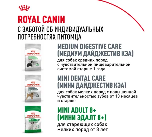 Royal Canin Mini Adult, 800 г
