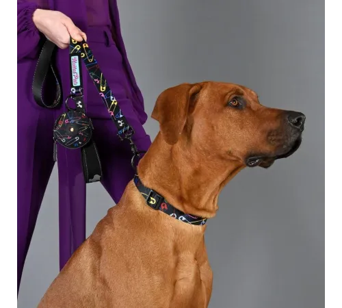 United Pets Поводок Complete me, черный с разноцветными булавками, 16 мм, 140 см