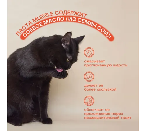 Muzzle Паста для вывода шерсти со вкусом курицы, 75 мл