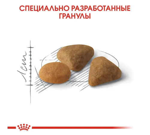 Royal Canin Savour Exigent, 400 г