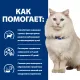 Hill's Prescription Diet c/d Multicare Urinary Stress для кошек, с рыбой, 400 г