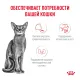 Royal Canin Fussy Adult, 400 г