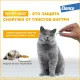 Elanco Профендер для кошек от 0,5 до 2,5 кг, 1 пипетка