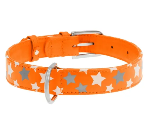 Collar Ошейник 