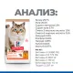 Hill's Science Plan No Grain для взрослых кошек (Курица), 1,5 кг