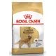 Royal Canin Golden Retriever Adult, 3 кг