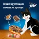 Felix Двойная вкуснятина для кошек (Птица), 300 г