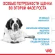 Royal Canin Giant Junior, 3,5 кг