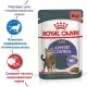 Royal Canin Appetite Control Care (соус), 85 г х 12 шт (уп)
