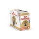 Royal Canin British Shorthair Adult (соус), 85 г 28 шт (уп)