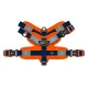Joyser Шлейка Soft Harness, оранжевая, M