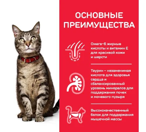 Hill's Science Plan Влажный корм для кошек для поддержания жизненной энергии и иммунитета (говядина) 85 г х 10 шт
