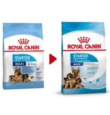 Royal Canin Maxi Starter, 4 кг