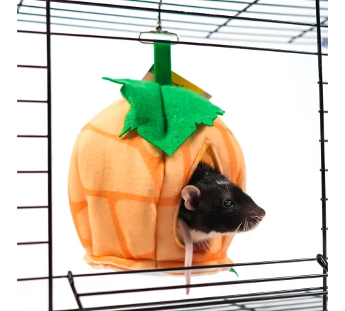 Bambini Pets Домик Тыковка для грызунов и хорьков, 18*18*15 см