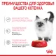 Royal Canin Kitten (паштет) 85 гр