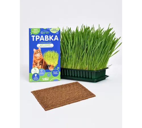 Четыре с хвостиком Травка для кошек и других домашних любимцев, 100 г