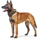 Hunter Ошейник c ручкой Larvik, M