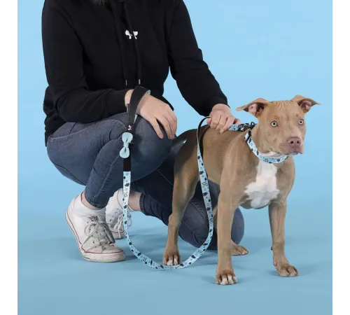 United Pets Поводок Complete me Writing, голубой с рисунком, 16 мм, 140 см