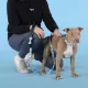 United Pets Поводок Complete me Writing, голубой с рисунком, 16 мм, 140 см