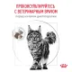 Royal Canin Gastrointestinal Сat 350 г