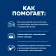 Hill's Prescription Diet a/d Влажный корм при реабилитации после болезней (курица), 200 г
