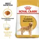 Royal Canin Golden Retriever Adult, 3 кг