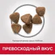 Hill's Science Plan для котят для здорового роста и развития (тунец) 300 г