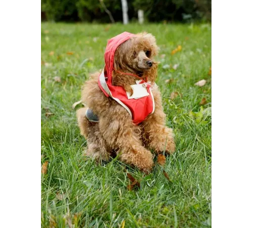Дождевик-курточка DoggyMan, оранжевая, S