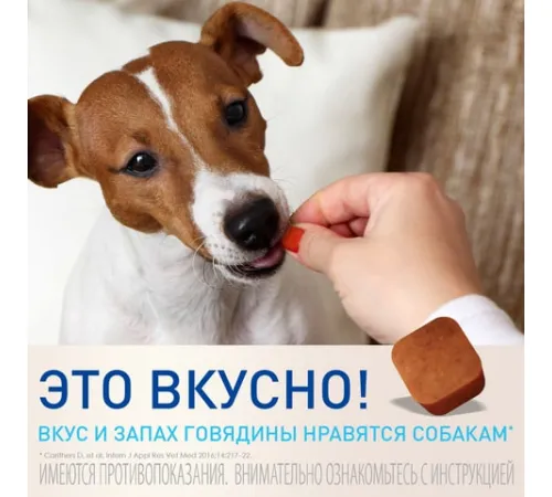 Фронтлайн Нексгард 11,3 мг/2-4 кг, 1 таб