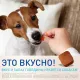 Фронтлайн Нексгард 11,3 мг/2-4 кг, 1 таб