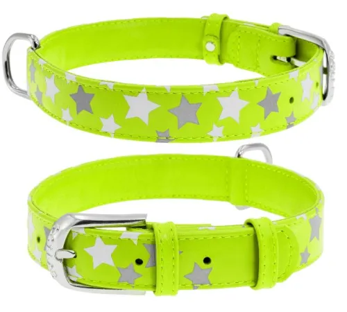 Collar Ошейник 