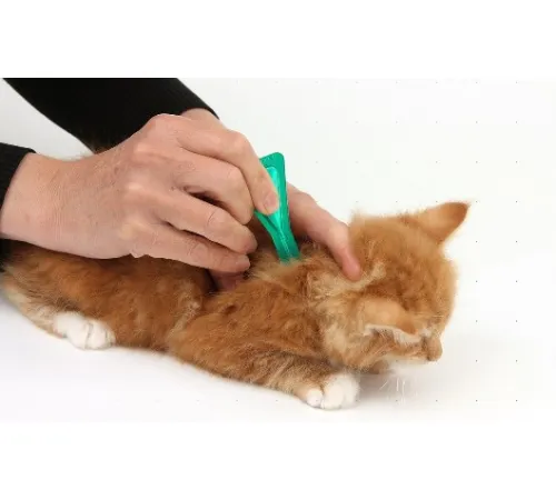 Beaphar Bio Spot On Kitten (3 пипетки/уп)