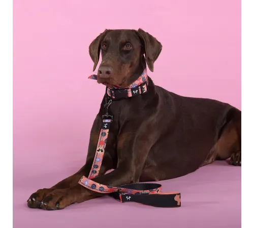 United Pets Ошейник Complete me Forever, оранжевый с рисунком, M