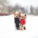 Airy Vest Курточка двухсторонняя Red & Black S 40