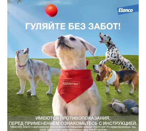 Elanco Адвантикс для собак до 4 кг, 1 пипетка
