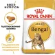 Royal Canin Bengal Adult, 400 г