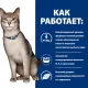 Hill's Prescription Diet k/d Kidney Care Влажный корм для кошек с курицей, 85 г
