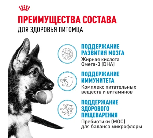 Royal Canin Maxi Puppy, 3 кг