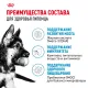 Royal Canin Maxi Puppy, 3 кг