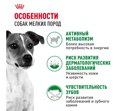 Royal Canin Mini Adult, 800 г