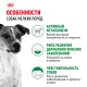 Royal Canin Mini Adult, 800 г