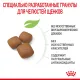 Royal Canin Giant Junior, 3,5 кг