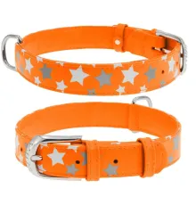Collar Ошейник 