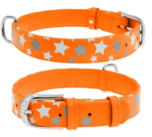 Collar Ошейник 