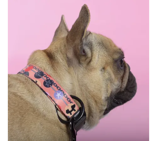 United Pets Ошейник Complete me Forever, оранжевый с рисунком, M