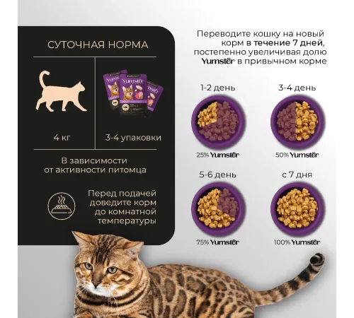 Yumster Adult Cat (Рыба в соусе), 85 г