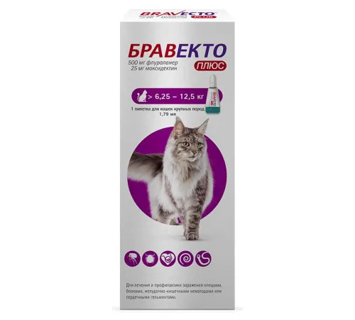 MSD Animal Health Бравекто Плюс капли для кошек > 6,25 - 12,5 кг 1 пипетка